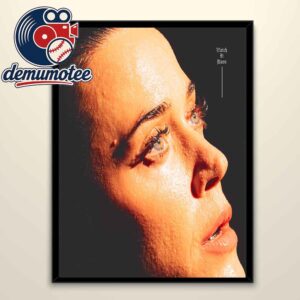 Katy Perry Watch It Burn Song Single Cover Home Decor Poster Canvas
